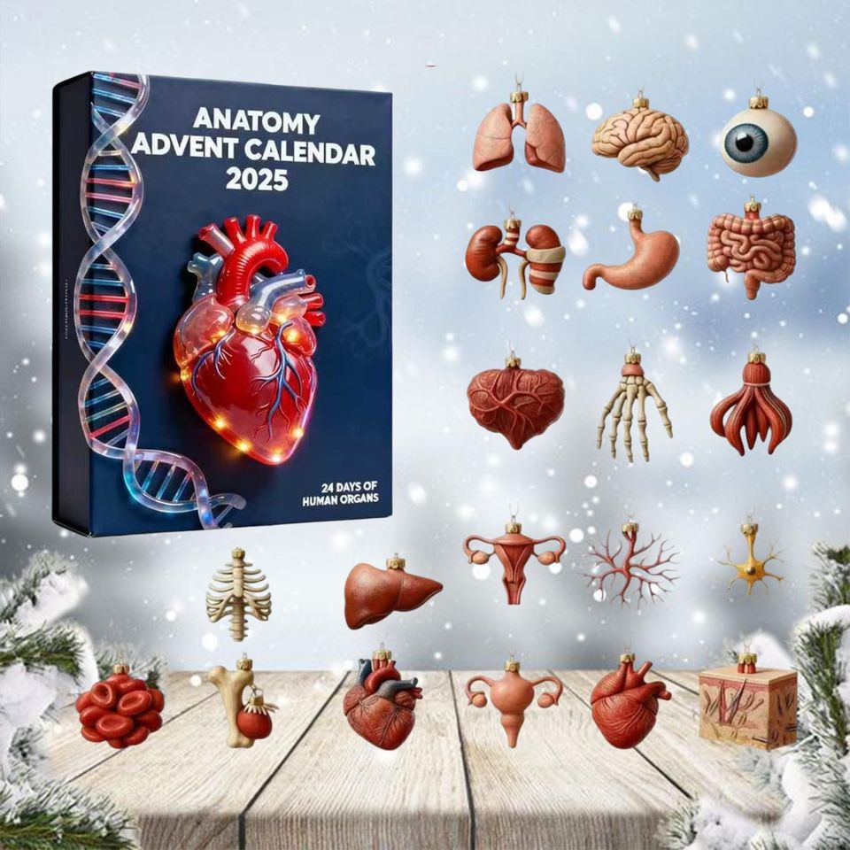 2025 Anatomy Advent Calendar, Student Christmas Countdown Box, 24 Day Human Body Ornaments