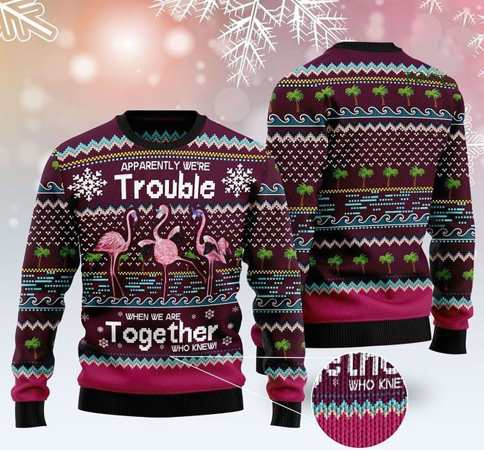 3D Apparently we're trouble together who knew Sweater