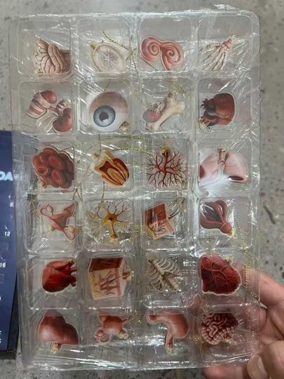 Advent Calendar 2025, Christmas Countdown Calendar 24 Days of Surprises, TV Show Christmas Gift for Men Women Couples - Image 15