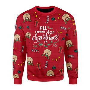 All I Want For Christmas Is You Ugly Christmas Sweater Adult 3D Funny Matching for family