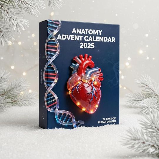 Anatomy Advent Calendar 2025, 24-Day Human Organ Countdown, Unique Educational Christmas Gift for Medical Students - Image 6