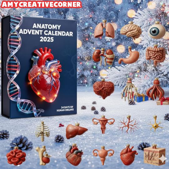 Anatomy Advent Calendar 2025, 24-Day Human Organ Countdown, Unique Educational Christmas Gift for Medical Students - Image 10