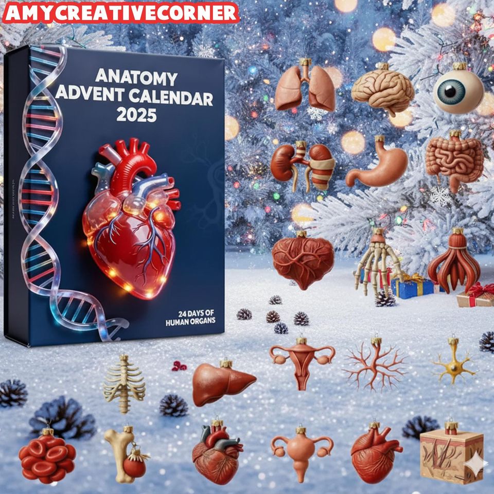 Anatomy Advent Calendar 2025, 24-Day Human Organ Countdown, Unique Educational Christmas Gift for Medical Students - Image 3