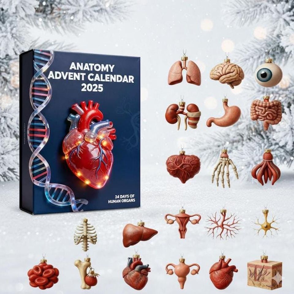 Anatomy Advent Calendar 2025, 24-Day Human Organ Countdown, Unique Educational Christmas Gift for Medical Students