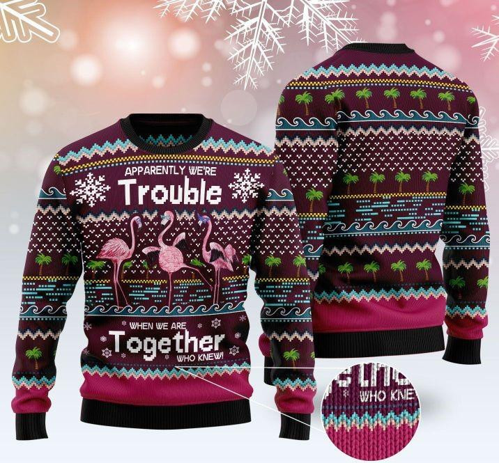 Apparently Were Trouble When We Are Together Who Knew Ugly Christmas Sweater Adult 3D Funny Matching for family