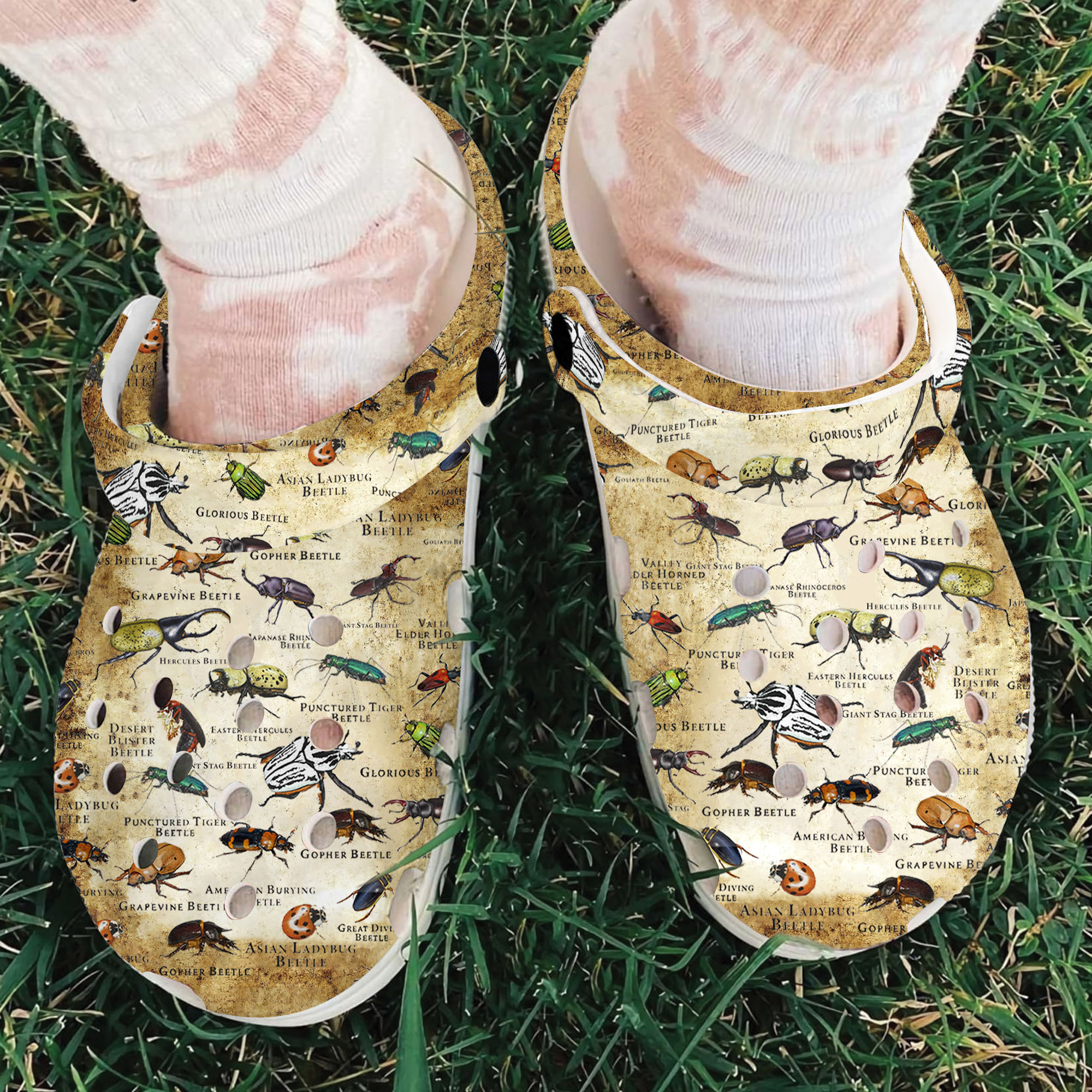 Beetles Of The World Crocs Crocband Clogs Shoes Comfortable For Men Women and Kids