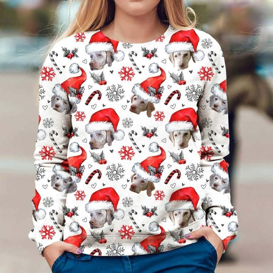 Braque Du Bourbonnais Ugly Christmas Sweater Adult 3D Funny Matching for family