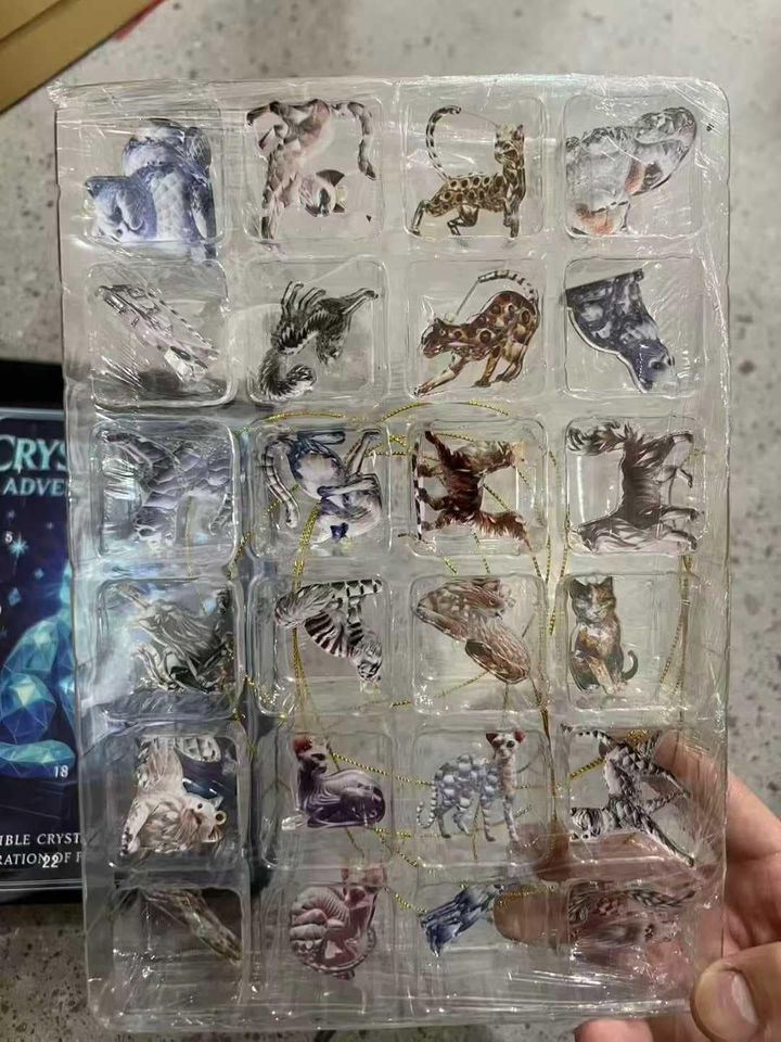 Cat Advent Calendar 2025, 24 Day Advent Calendar for Pets Lover, Christmas Countdown Calendar for Cat Owner - Image 5