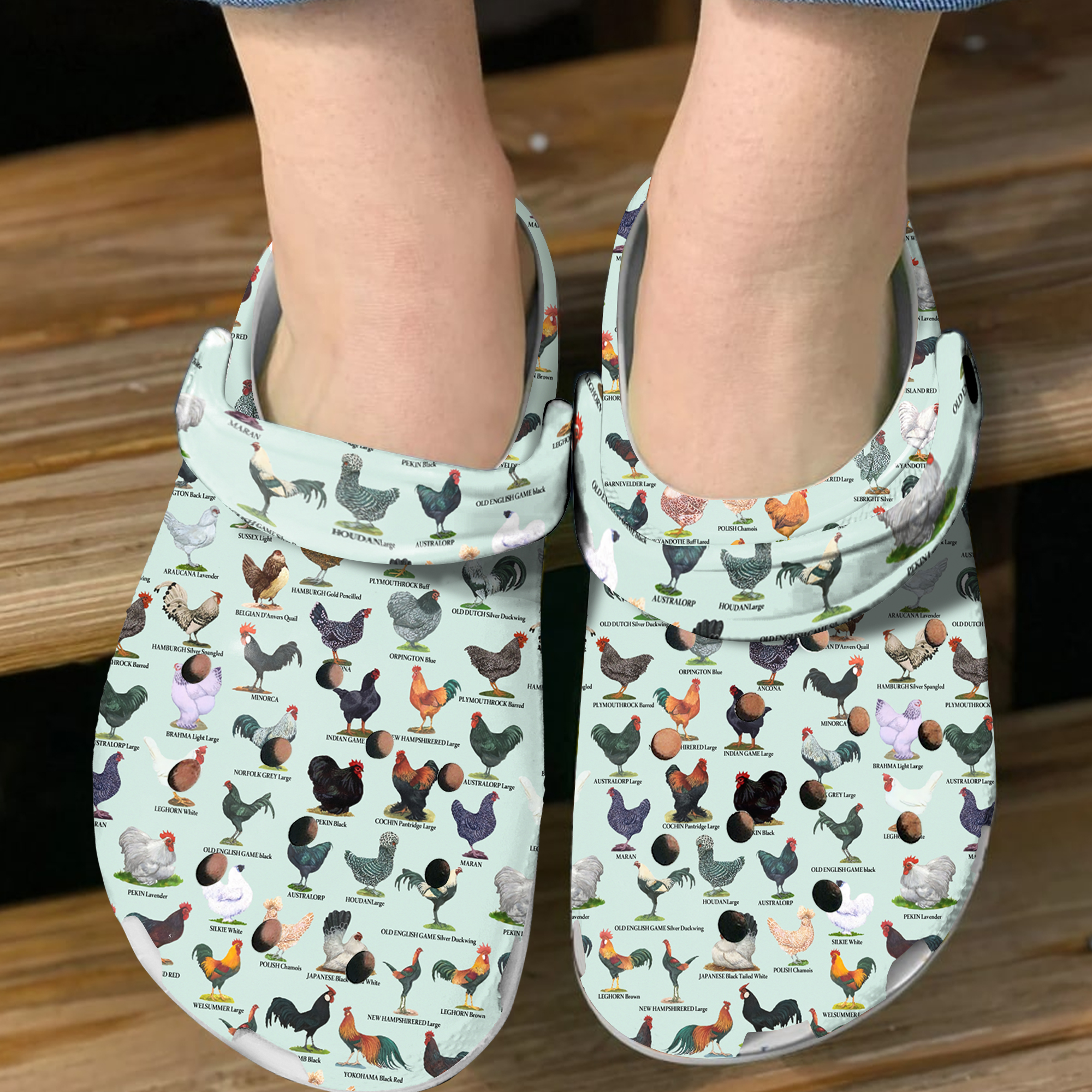 Chicken Crocs Crocband Clogs Shoes Comfortable For Men Women and Kids