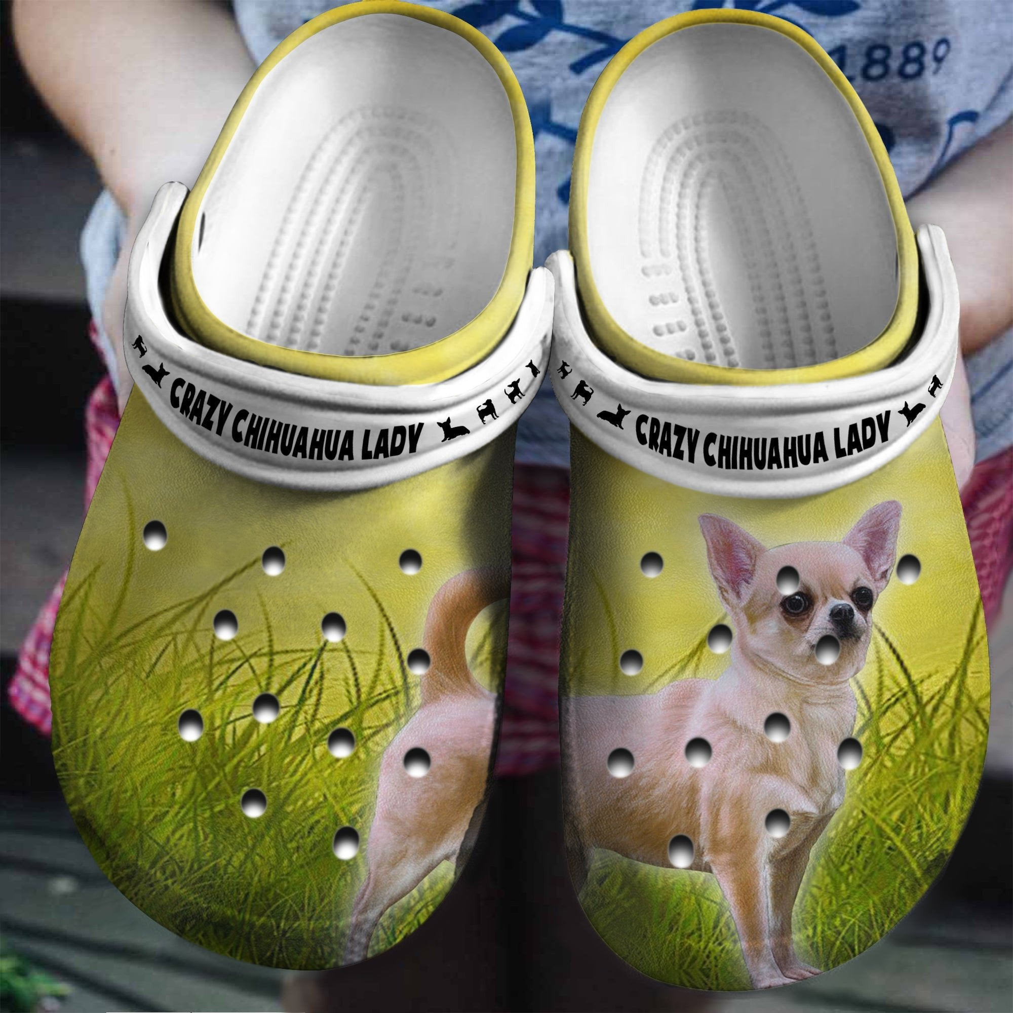 Crazy Chihuahua Lazy Shoes Clogs Gifts For Son Daughter