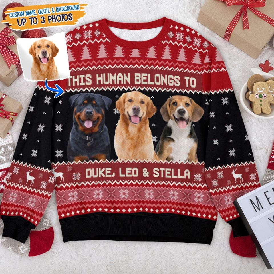 Custom Photo Dog Cat Pet AOP Ugly Sweatshirt