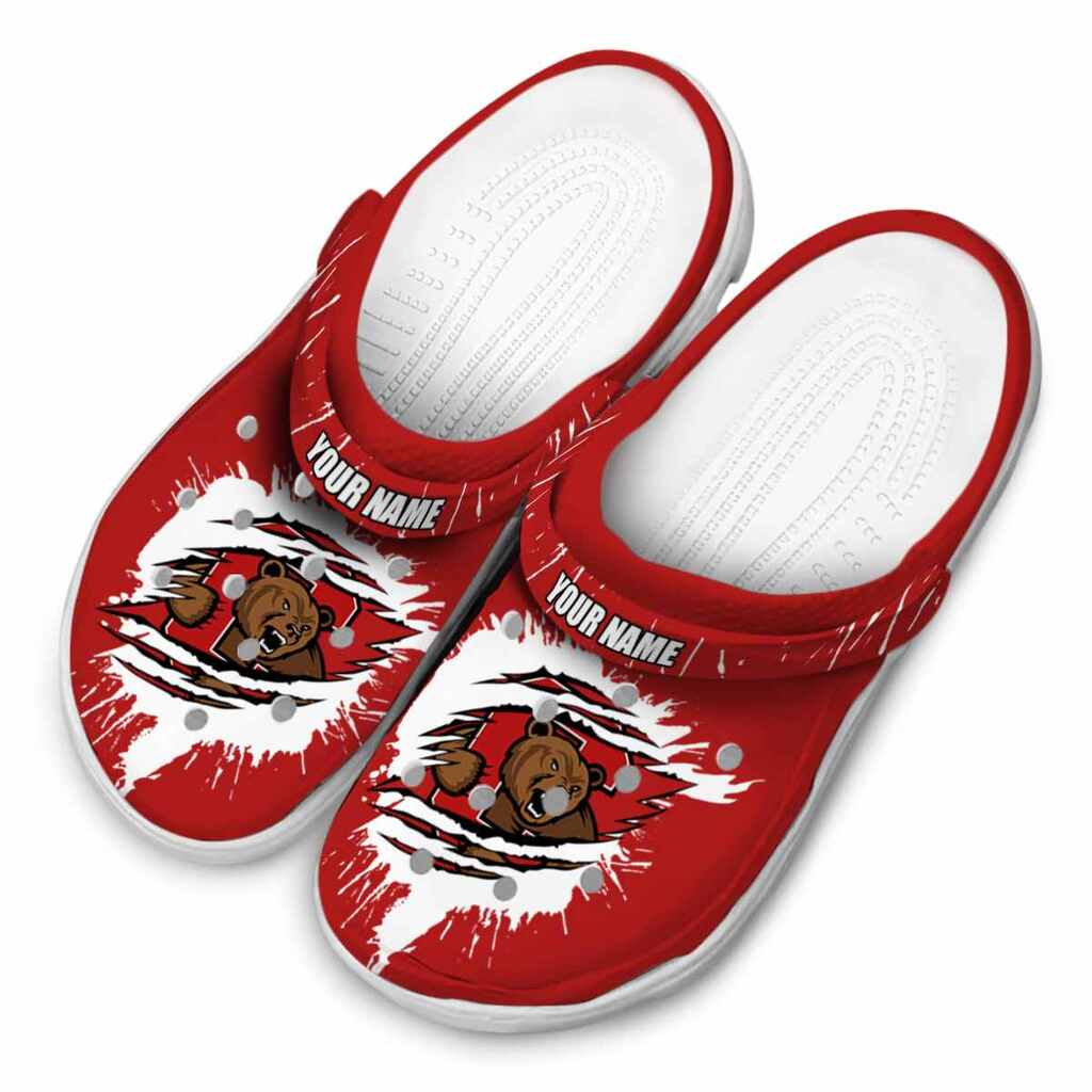 Customized Toronto Raptors Striped Accents ClogTVC1801733 - Image 4