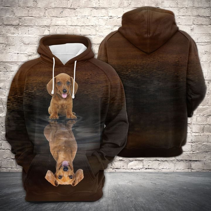 Cute Dachshund Reflection 3D All Over Print Hoodie, Zip Hoodie