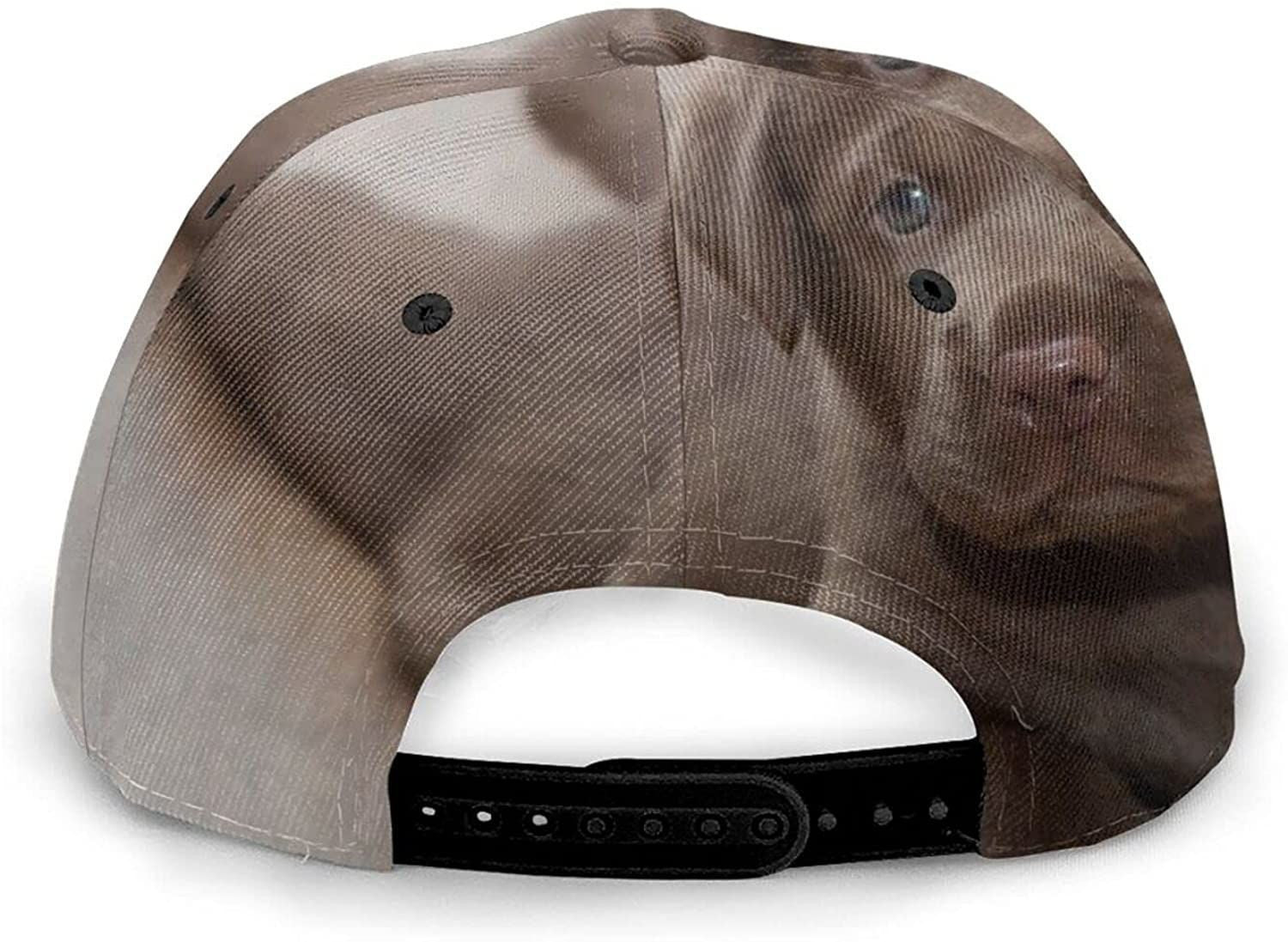 Cute Dog Classic Baseball 3D Cap Adjustable Twill Sports Dad Hat Classic Capfor Unisex Trucker Hats Custom Hats Gifts For Men & Women