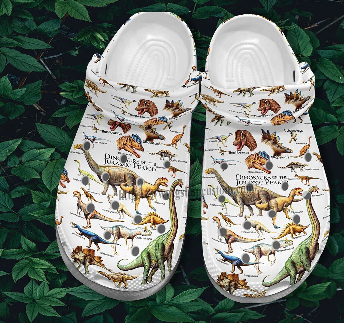 Dinosaur Species Jurassic Shoes Gift Birthday Son In Law - Dinosaur Jurassic Lover Shoes Croc Clogs Gift Boy Girl