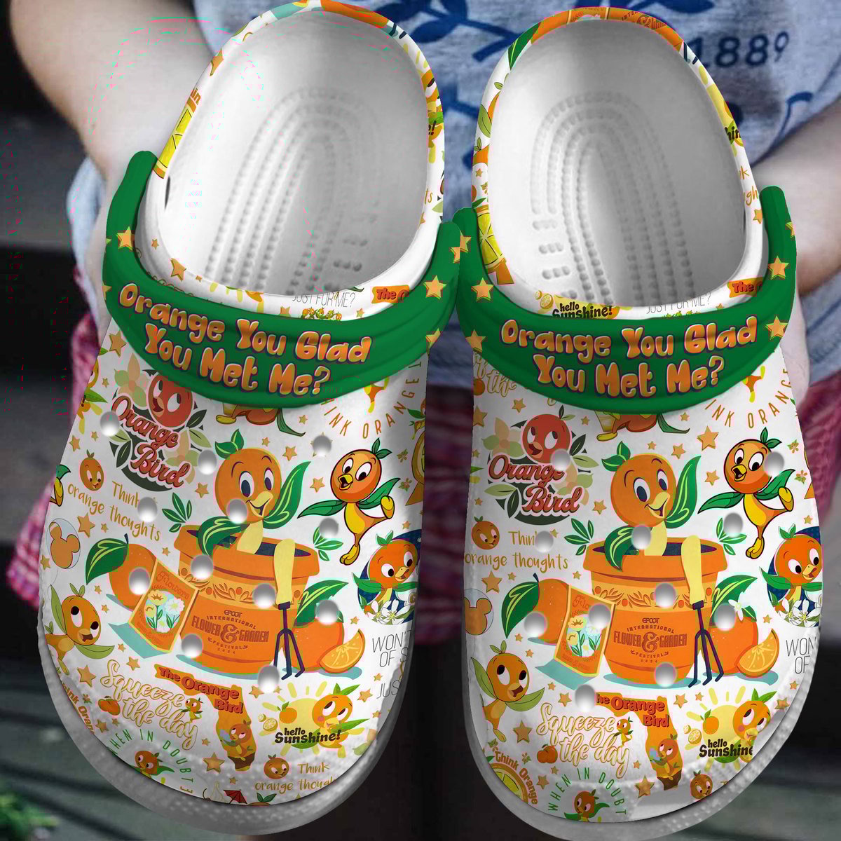 Disney Speedstorm Orange Bird Game Crocs Crocband Clogs Shoes Comfortable For Men Women and Kids
