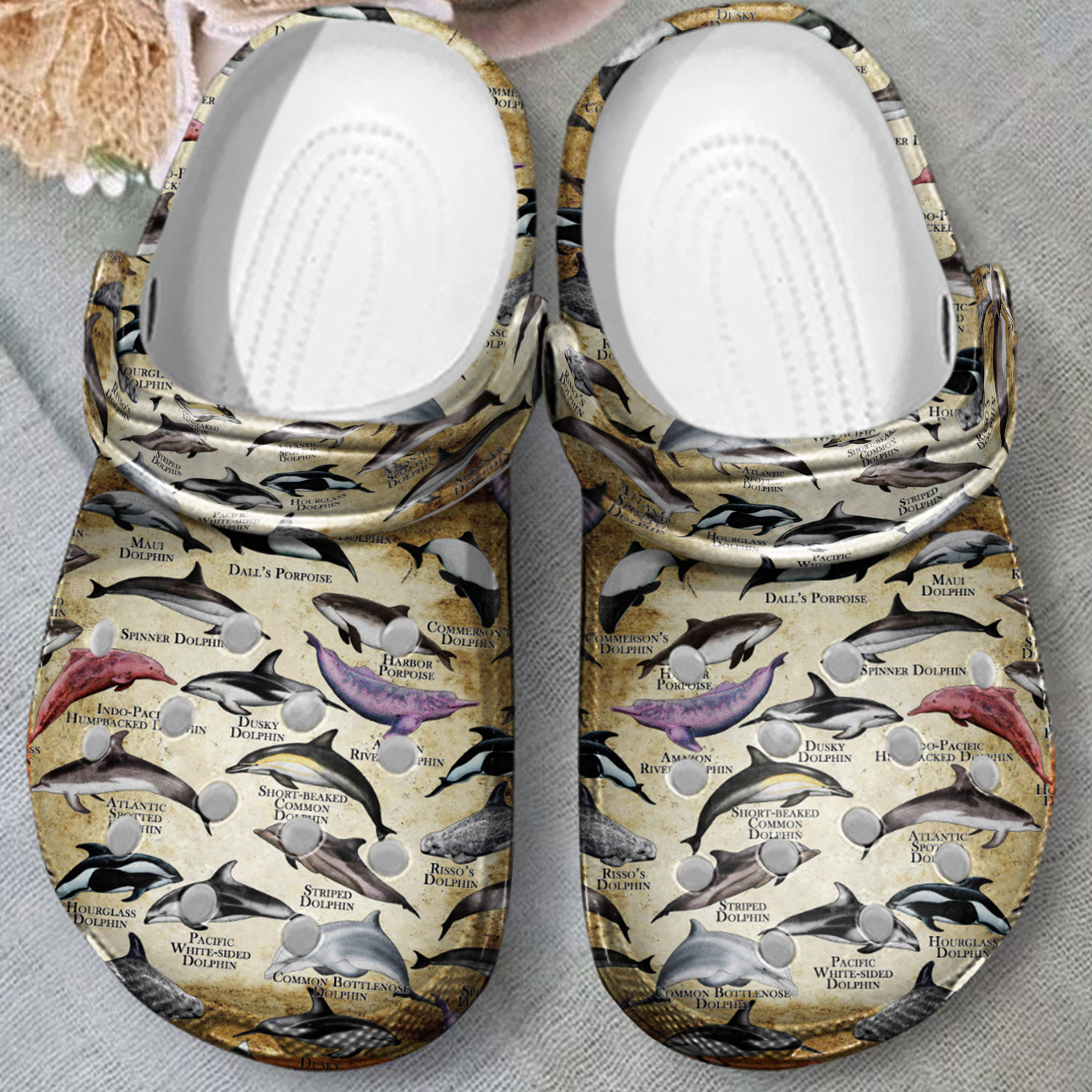 Dolphins Crocs Crocband Clogs Shoes Comfortable For Men Women and Kids