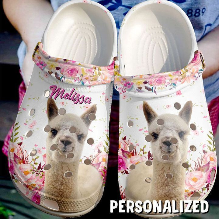 Farmer Personalized Cute Alpaca Classic Clogs Shoes