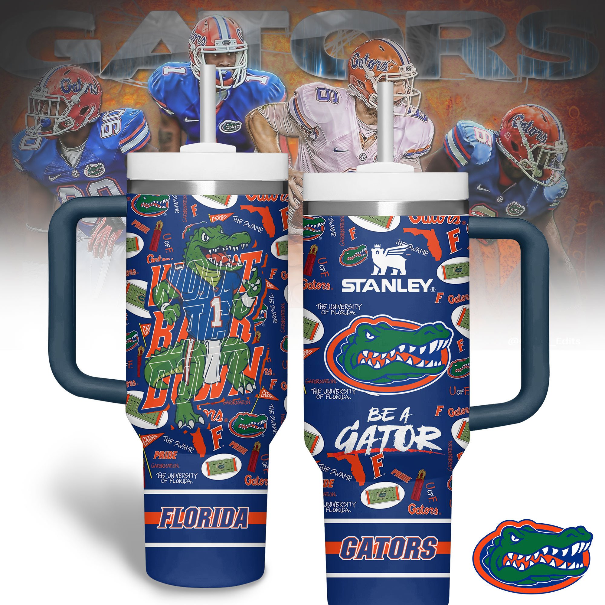 Florida Gators NCAA Custom Stanley Cup 40 oz 30 oz Tumbler With HandleTVC2301216