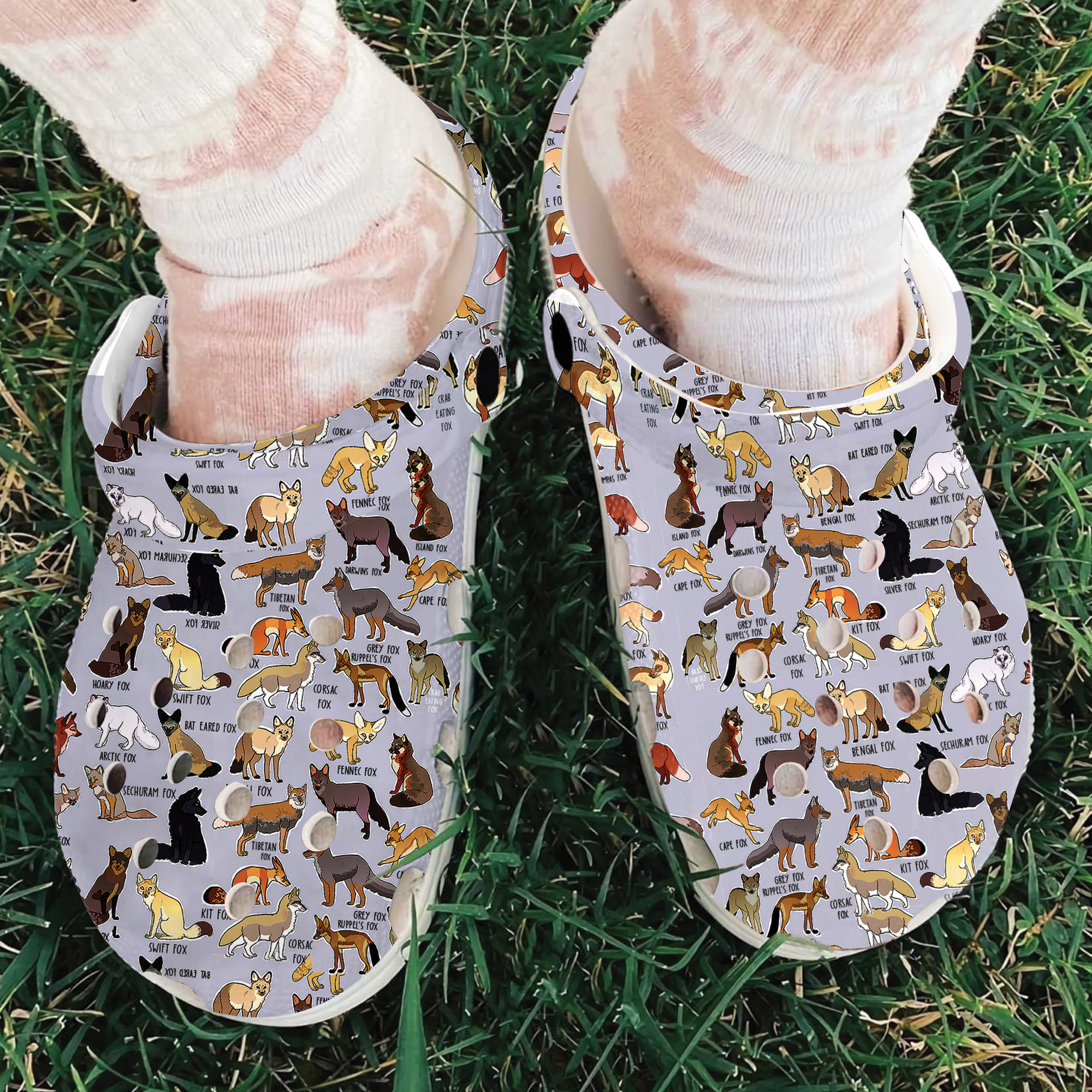 Foxes Of The World Animal Crocs Crocband Clogs Shoes Comfortable For Men Women and Kids