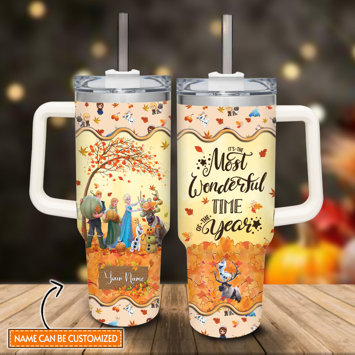 Frozen Disney Princess Cartoon Custom Stanley Cup 40 oz 30 oz Tumbler With HandleTVC2301816