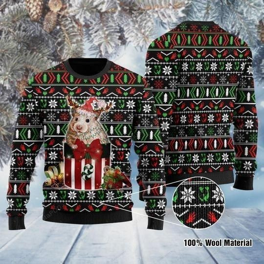 Guinea Pig In The Gift Box Ugly Christmas Sweater Adult 3D Funny Matching for family