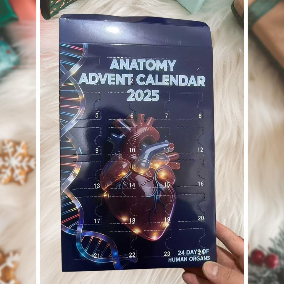 Heavy Equipment Advent Calendar 2025, Construction Vehicle Christmas Countdown Gift Set, 24 Die-Cast Machines Box - Image 12