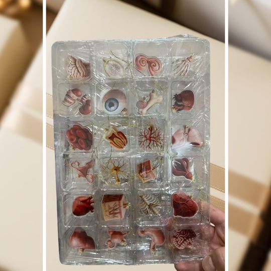 Heavy Equipment Advent Calendar 2025, Construction Vehicle Christmas Countdown Gift Set, 24 Die-Cast Machines Box - Image 27