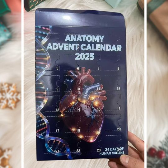 Heavy Equipment Advent Calendar 2025, Construction Vehicle Christmas Countdown Gift Set, 24 Die-Cast Machines Box - Image 26