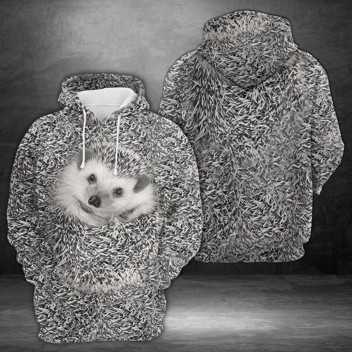 Hedgehog 3D All Over Print Hoodie, Zip Hoodie