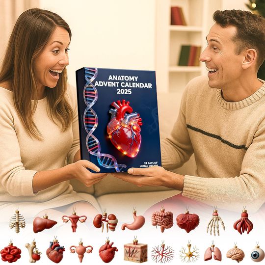 Human Organ Anatomy Advent, Student Countdown Calendar, Science Decor Ornament Set, Doctor Nurse Xmas Gift Calendar Acrylic 2D Flat - Image 9