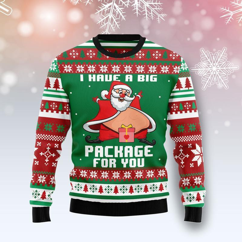 I Have A Big Package For You Ugly Christmas Sweater Adult 3D Funny Matching for family