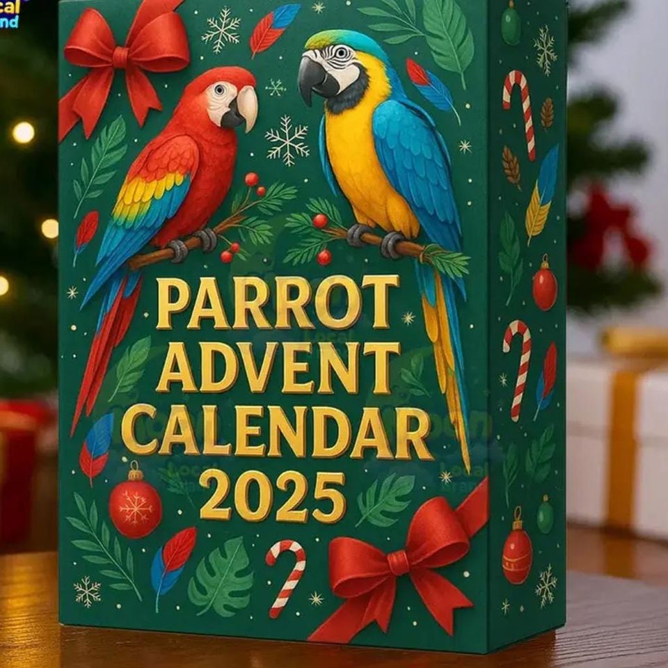 NEWEST Parrot 2D Flat Advent Calendar, Parrot Christmas Advent Calendar, 24 Christmas Figurines, Parrot Ornament - Image 3