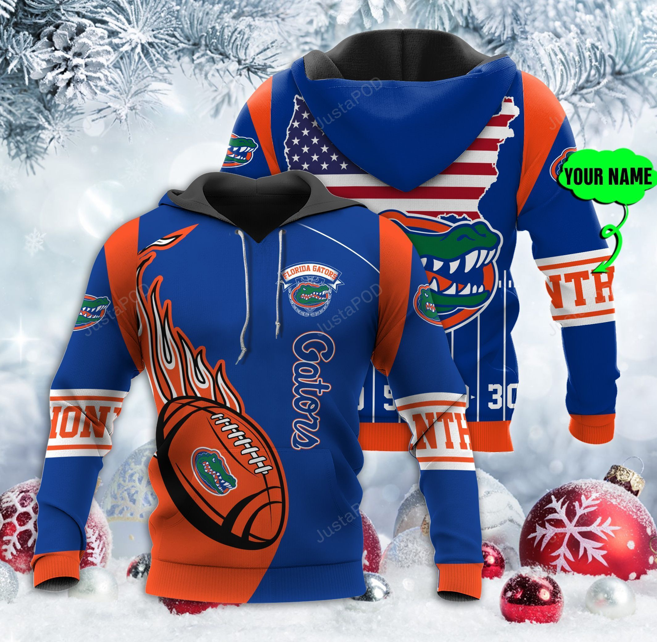 Personalized Florida Gators 3D All Over Print Hoodie, Zip Hoodie