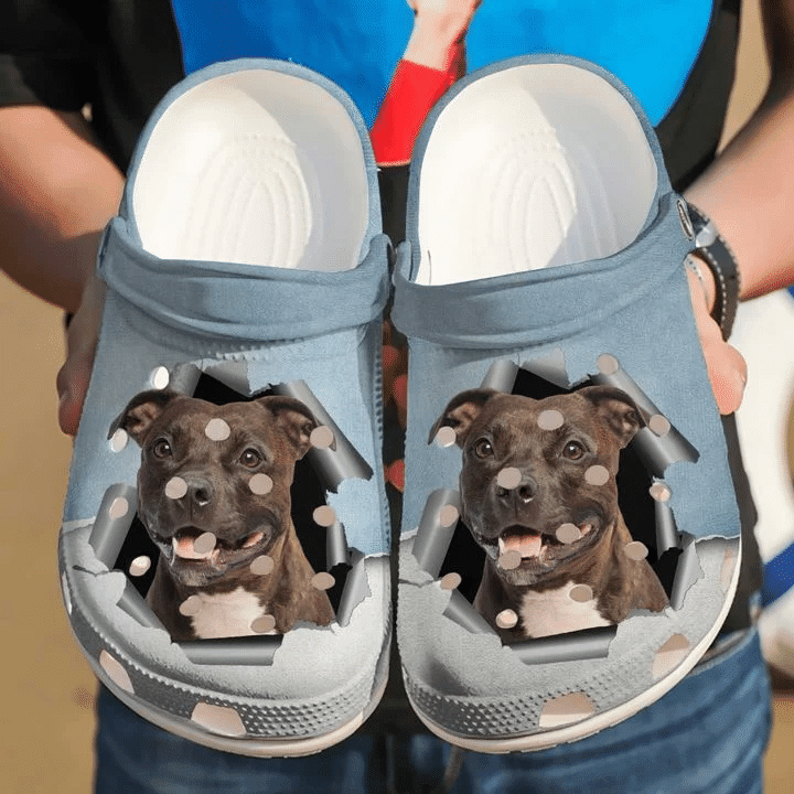 Pitbull Hello Clog Shoes