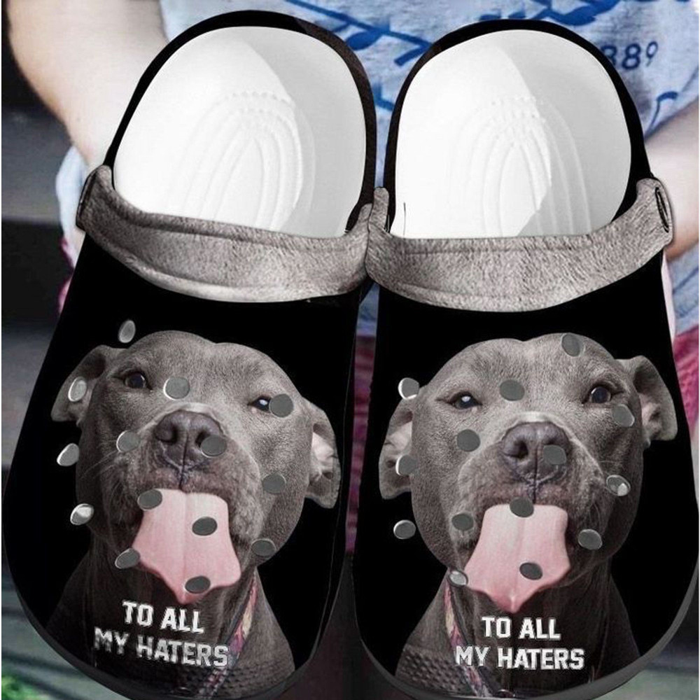 Pitbull To All My Haters Rubber clog Shoes Comfy Footwear