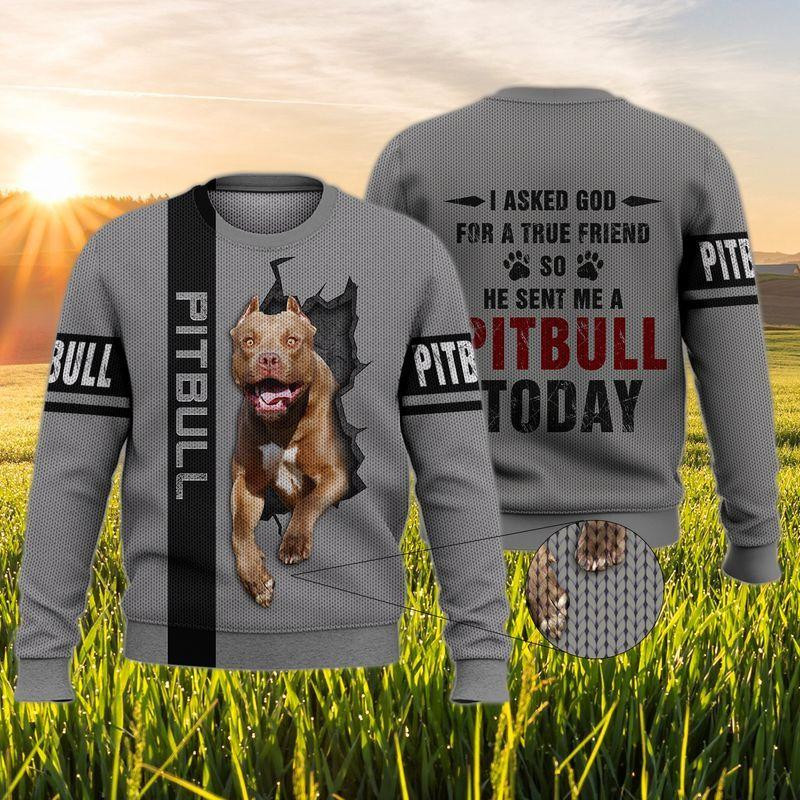 Pitbull Ugly Christmas Sweater Adult 3D Funny Matching for family