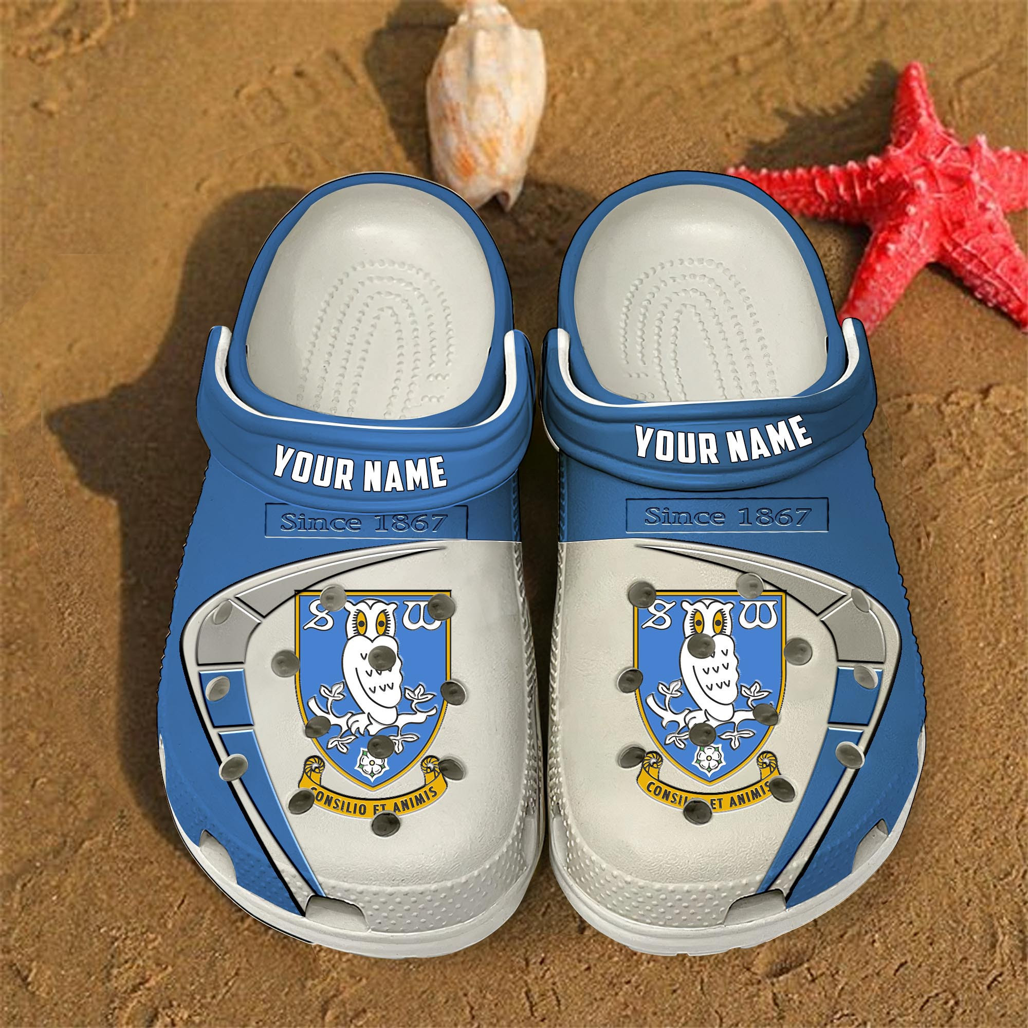 Sheffield Wednesday EFL Crocs Crocband Clogs Shoes Comfortable For Men Women and Kids