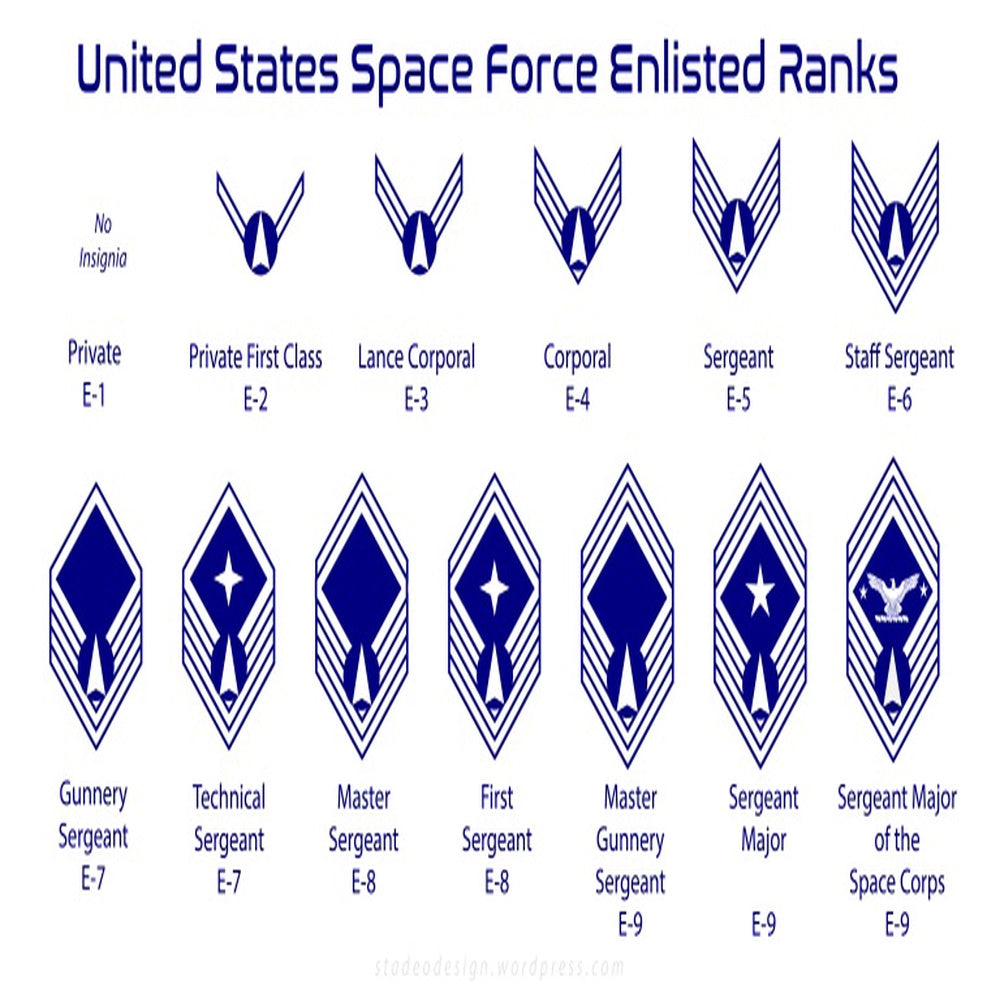 Veteran Cap, Us Space Force US Military Hat Cap, Veteran Cap, Custom Cap, Gifts For Him Trucker Hats Custom Hats Gifts For Men & Women