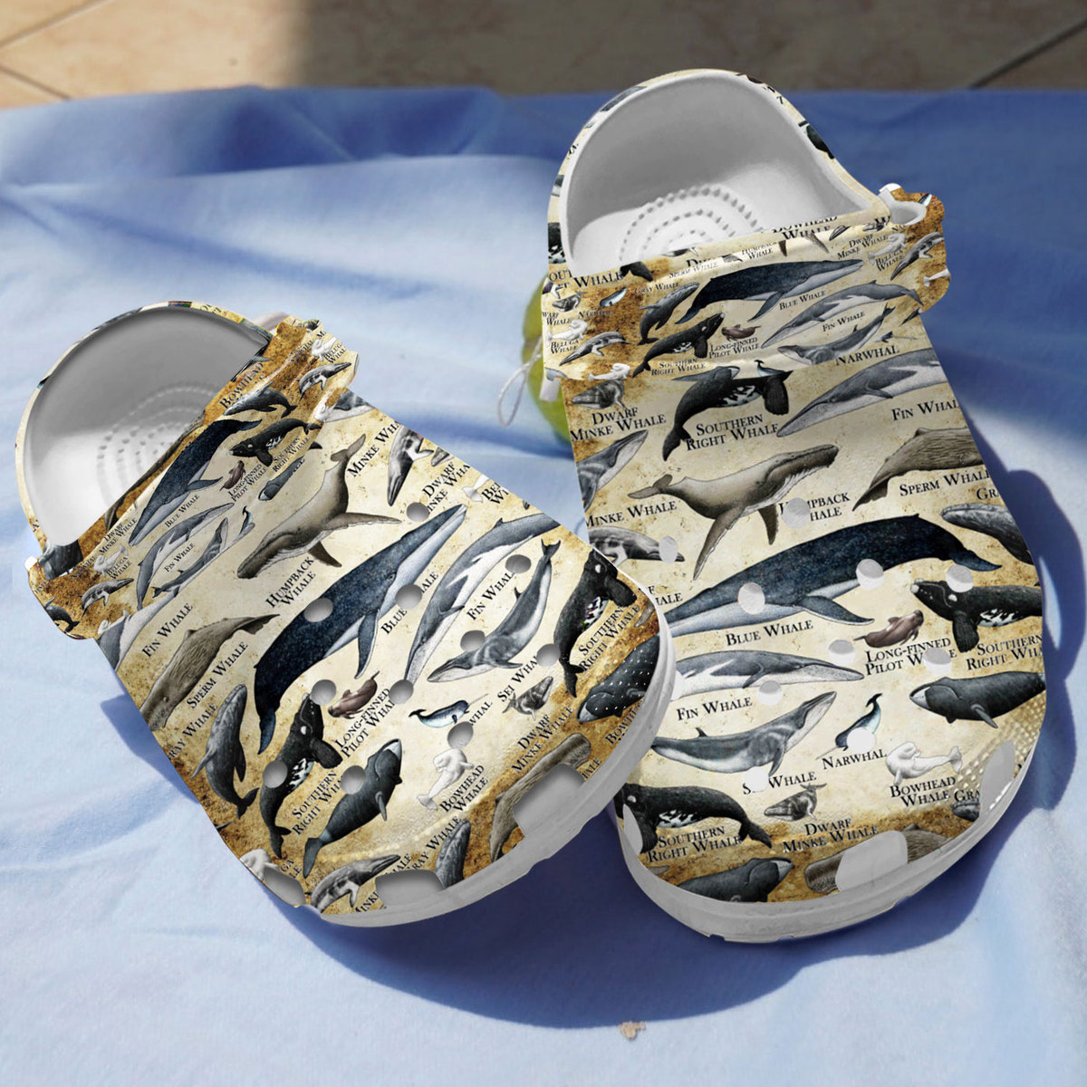 Whales Of The World Crocs Crocband Clogs Shoes Comfortable For Men Women and Kids