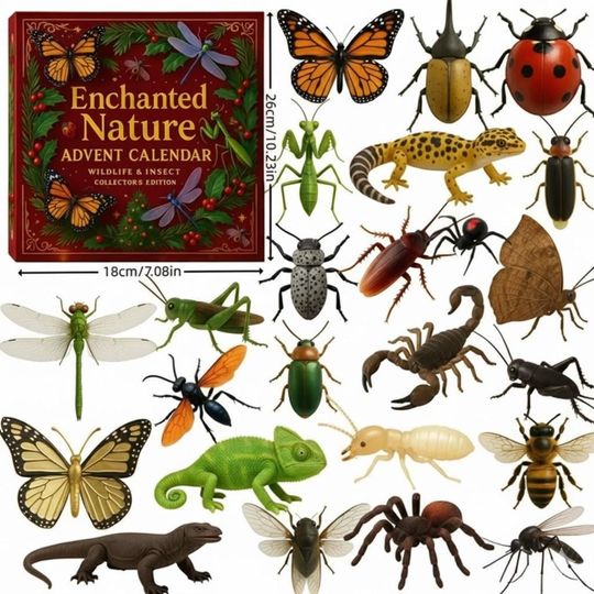 Wildlife Insects Christmas Advent Calendar, Nature Trick Gift, 24 Days Countdown Gift - Image 4