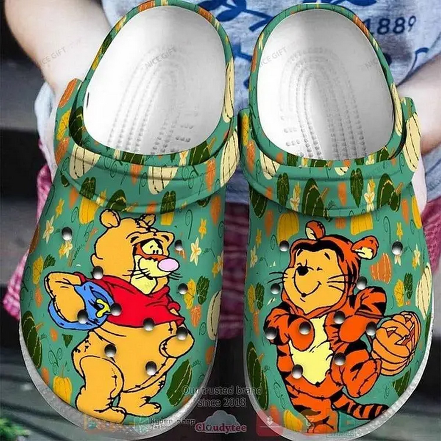 Winnie The Pooh Cartoon Crocs Crocband Clogs Shoes Comfortable For Men Women and Kids